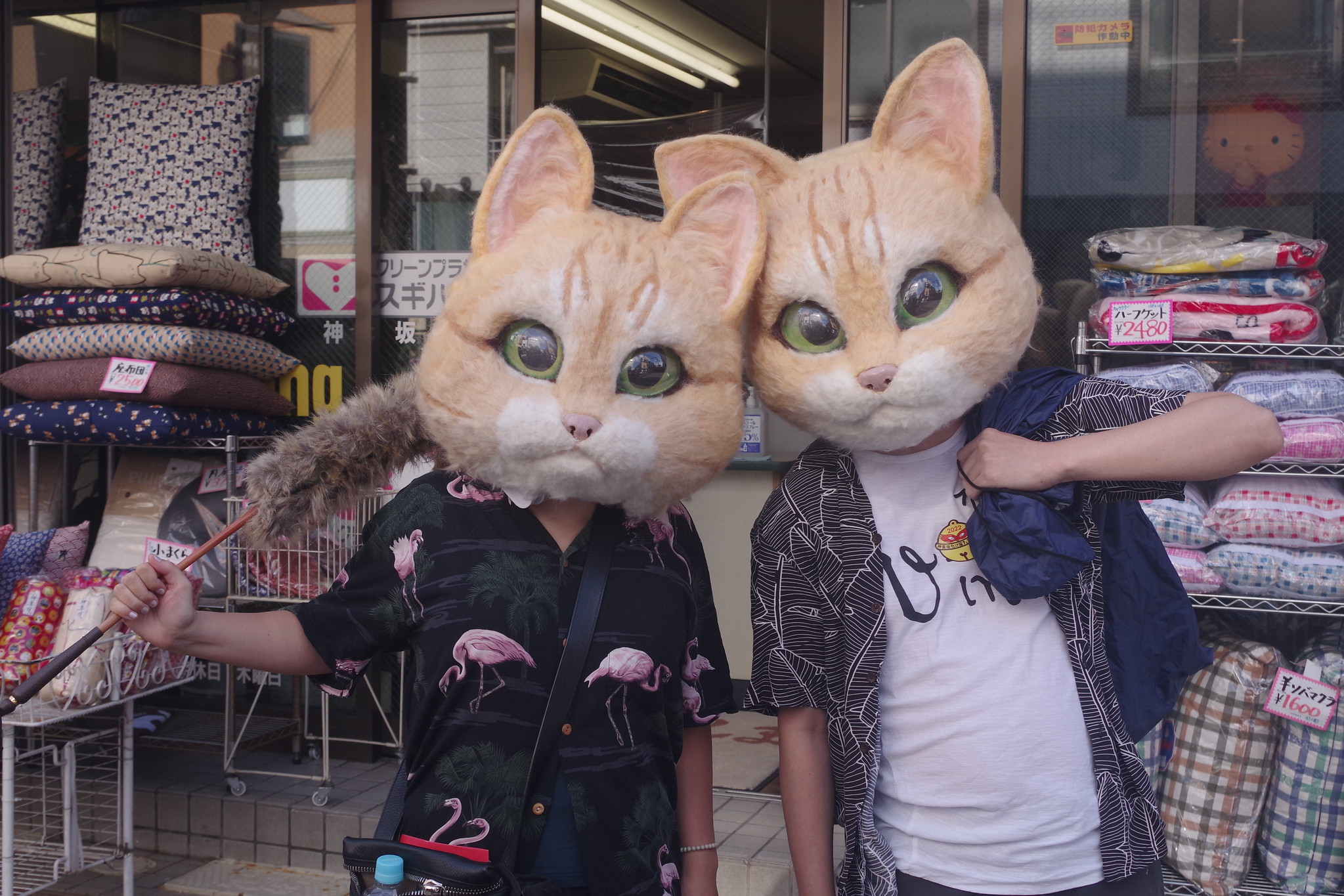 Spend the day in the “Kingdom of Cats” at the Bakeneko Festival in Kagurazaka, Tokyo